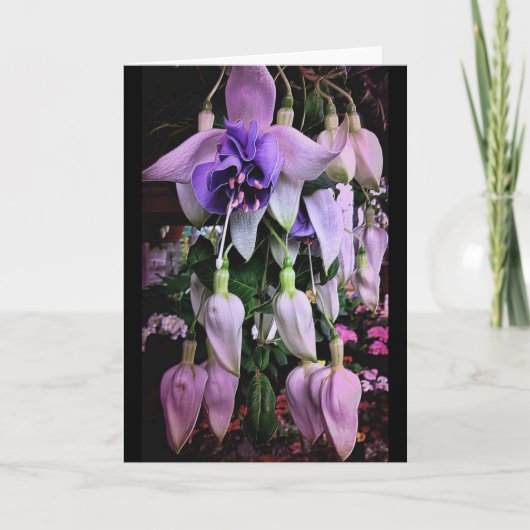 Paarse regen kaart (Voorkant)