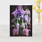 Paarse regen kaart (Gele Bloem)