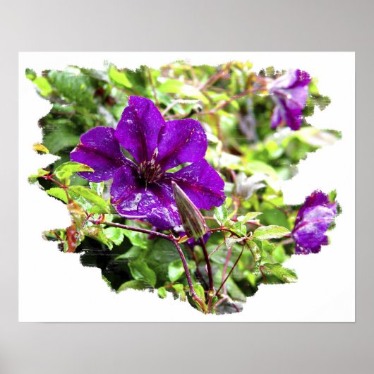 Paarse regen poster (Voorkant)