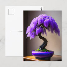 Paarse Regen Wisteria Bonsai, Postcrossing
