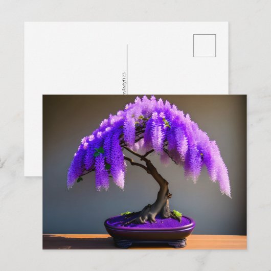 Paarse Regen Wisteria Bonsai, Postcrossing Briefkaart (Voorkant / Achterkant)