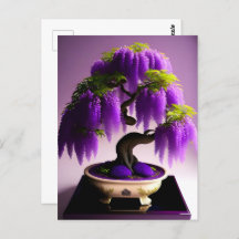 Paarse Regen Wisteria Bonsai, Postcrossing