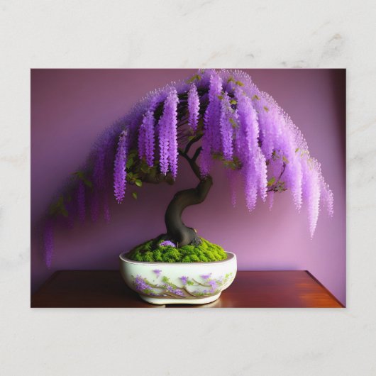 Paarse Regen Wisteria Bonsai, Postcrossing Briefkaart (Voorkant)