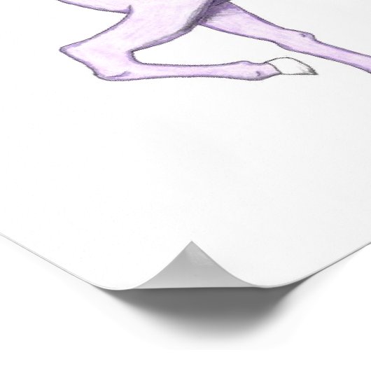 Paarse regenboogontsteking poster (Hoek)