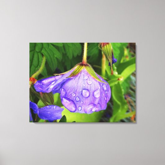 Paarse regenval canvas afdruk (Voorkant)