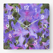 Paarse Rhododendron Bloesems Bloemen