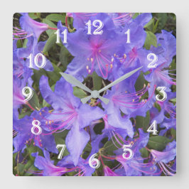 Paarse Rhododendron Bloesems Bloemen Grote Klok