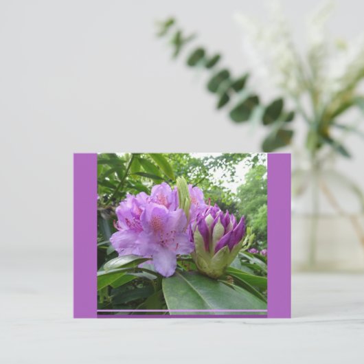 Paarse Rhododendron Flowers & Buds DIY Briefkaart (Staand voorkant)