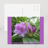 Paarse Rhododendron Flowers & Buds DIY Briefkaart (Voorkant / Achterkant)