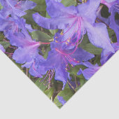 Paarse Rhododendron Flowers Floral Tissuepapier (Detail)