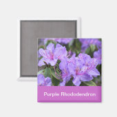 paarse rhododendron magneet (Voorkant / Achterkant)