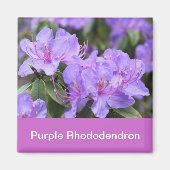 paarse rhododendron magneet (Voorkant)