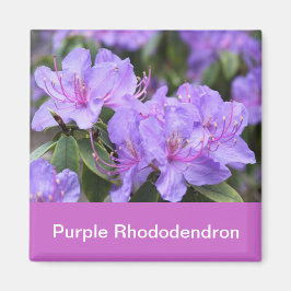 paarse rhododendron magneet