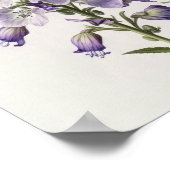 Paarse Ridderspoor Bloem Kunstprint Poster (Hoek)