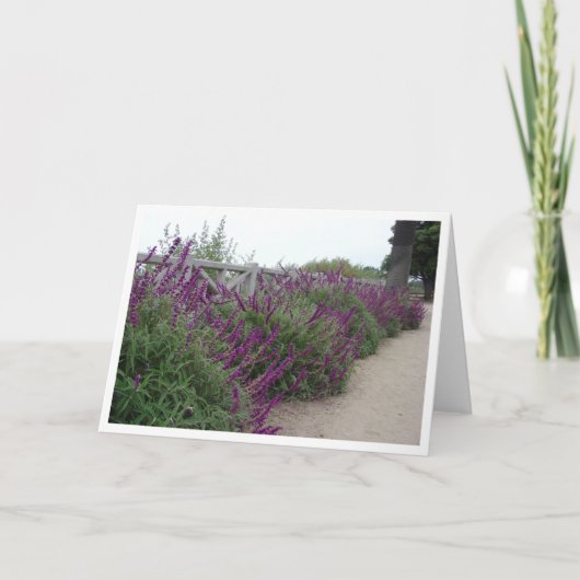 Paarse Rij Kaart (Voorkant)