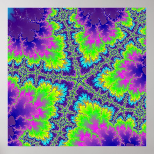 Paarse rivierkreeften poster (Voorkant)