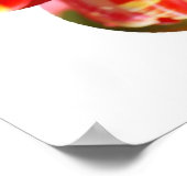 Paarse, rode en gele tulpen poster (Hoek)