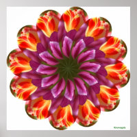 Paarse, rode en gele tulpen