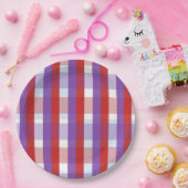 Paarse, Rode en Roze Gingham Papieren Bordje (Feest)