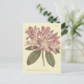 Paarse Rododendron Illustratie Briefkaart (Staand voorkant)