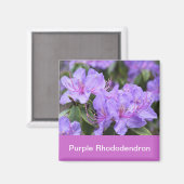 paarse rododendron magneet (Voorkant / Achterkant)
