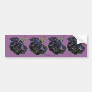 Paarse Roos Bloem Foto Bumpersticker