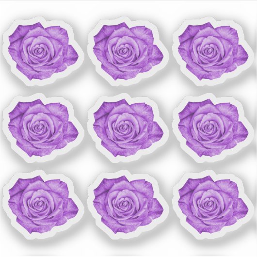 Paarse Roos Elegant Bloemenplanner Scrapbook Sheet Sticker (Voorkant)