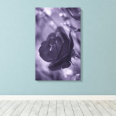 Paarse Roos Ingepakt Canvasprint Canvas Afdruk (Insitu (Houten vloer))