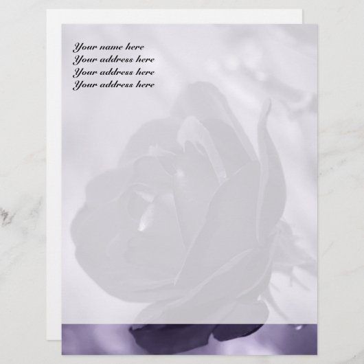 Paarse Roos Letterhead Design Briefhoofd (Voorkant / Achterkant)