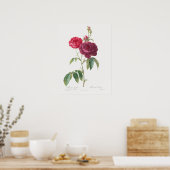 Paarse Roos Rosa Gallica Pierre Joseph Redoute Poster (Keuken)