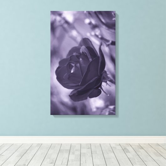 Paarse Roos verpakte canvas print (Insitu (Houten vloer))