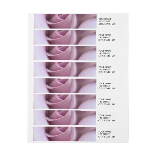 Paarse Roos Weddenfoto (Vel)