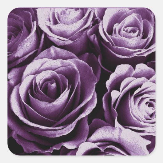 Paarse Rose Boeket Bruiloft Roos Vierkante Sticker (Voorkant)