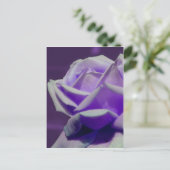 Paarse Rosebud Petals Flower Briefkaart (Staand voorkant)