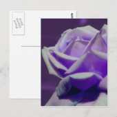 Paarse Rosebud Petals Flower Briefkaart (Voorkant / Achterkant)