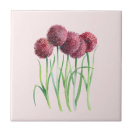 Paarse Roze Allium Waterverf Botanische Schilderij Tegeltje