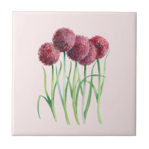 Paarse Roze Allium Waterverf Botanische Schilderij Tegeltje