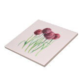 Paarse Roze Allium Waterverf Botanische Schilderij Tegeltje (Zijkant)