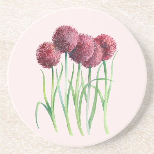 Paarse Roze Allium Waterverf Botanische Schilderij Zandsteen Onderzetter (Voorkant)