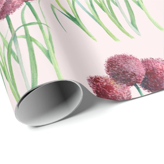 Paarse roze alliums Bloem Waterverf illustratie Cadeaupapier (Rol Hoek)