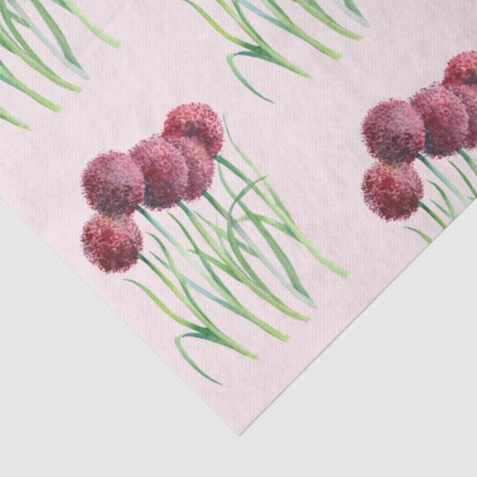 Paarse roze alliums Bloem Waterverf illustratie Tissuepapier (Detail)