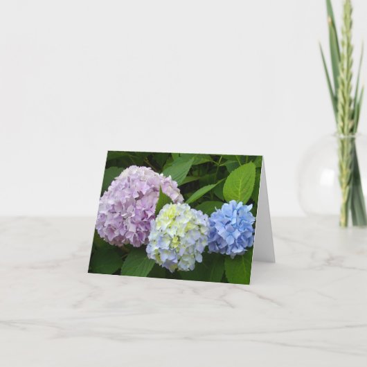 Paarse roze bloemen sierlijke Hydrangeas Kaart (Voorkant)