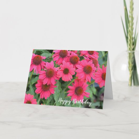 Paarse roze Coneflowers Verjaardag Kaart (Voorkant)
