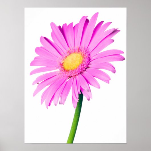 Paarse roze Daisy Gepersonaliseerd Sjabloon Poster (Voorkant)