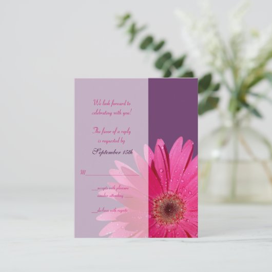 Paarse & Roze Gerbera Daisy Wedding Reply Kaart (Staand voorkant)