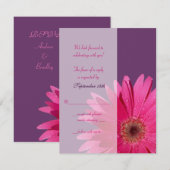 Paarse & Roze Gerbera Daisy Wedding Reply Kaart (Voorkant / Achterkant)