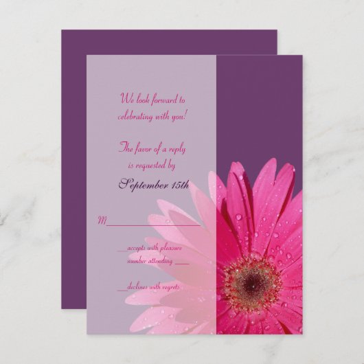 Paarse & Roze Gerbera Daisy Wedding Reply Kaart (Voorkant / Achterkant)
