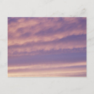 Paarse Roze Lucht Postkaart