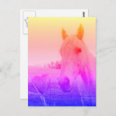 Paarse roze paarden en hart briefkaart (Voorkant / Achterkant)