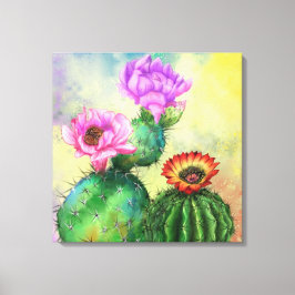 Paarse roze rode cactus Flowers Canvas Afdrukkunst